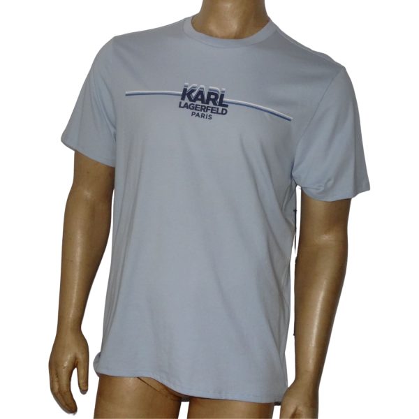 Polera Cuello Redondo Celeste Logo Engomado Azul Marino
