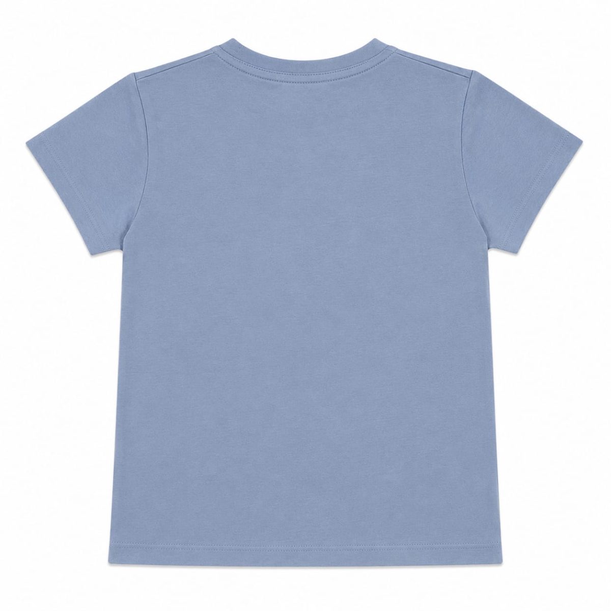 Polera Azul Desgastado Con Brillos Frontal - Imagen 2