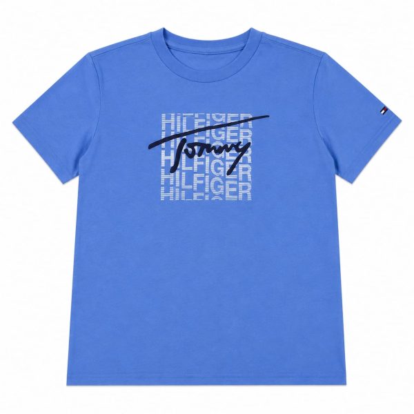 Polera Celeste Con Logo Frontal Engomado