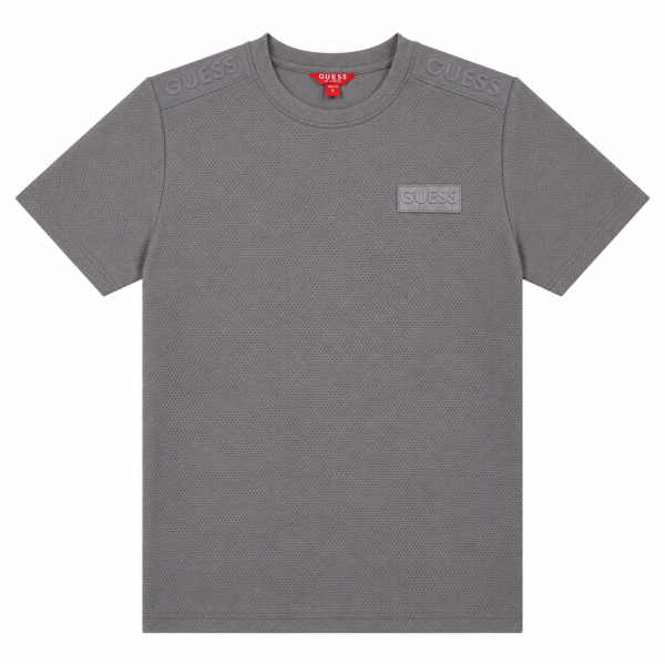 Polera Gris Con Relieves Y Logo Engomado Escrito En El Pecho